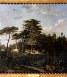 Libanonsedren fra Jardin des Plantes i Paris Detalj - Maleri av Jean Houel (1735-1813) 1700-tallet Søn 0,55x0,8 m Paris, Musee Carnavalet