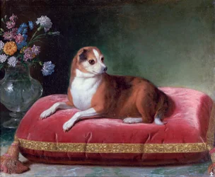 Tispe på en pute, c1694-1735