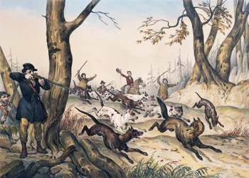Ulvejakt, gravering av Jean Victor Adam (1801-1866)
