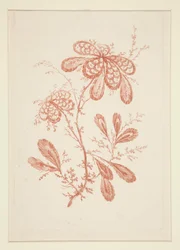 Uten tittel (Ideelle blomster), fra et sett på seks