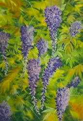 Blåregnblomster og bladverk 2, 2023 (pastell på papir)