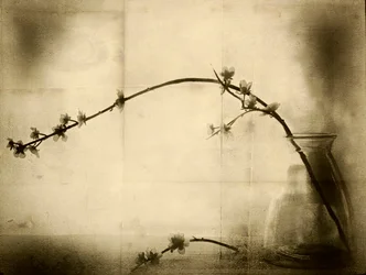 Blomsterstilleben i sepia