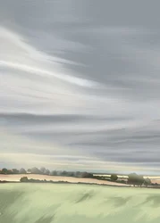 Rolig himmel på landsbygda