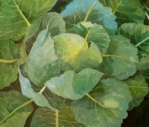 Kål (blå), 2014 (akryl på lerret)