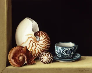 Stilleben med Nautilus, 1998 (wc på papir)