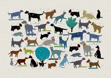 Hundekjærlighet, 2024 (blandet media)