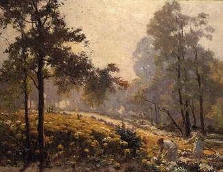 Kvinner plukker gule blomster i et skogkledd landskap