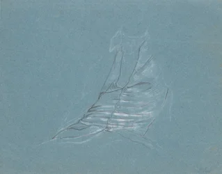 Herrevest i silke, studie for portrettet av Jean-Alphonse Turrettini