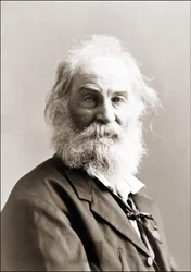 Portrett av Walt Whitman (1819 - 1892) av Gurney mellom 1880 og 1890.