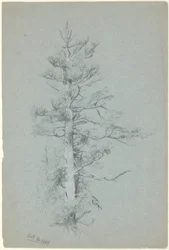 Trestudie