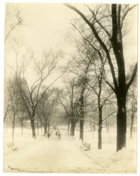 The Common, Boston, USA, ca. 1902-10 (foto av gelatinsølv)