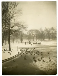 Uvanlig kaldt i Common, Boston, USA, ca. 1902-10 (foto av gelatinsølv)