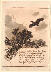 Utkast til "The Eagle"