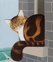 Katt på vinduskarmen