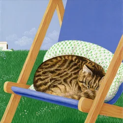 Tabby katt sover i en fluktstol