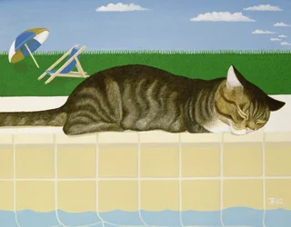 Tabby katt ved et basseng