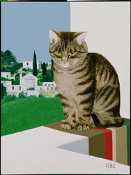 Tabby katt i vinduet
