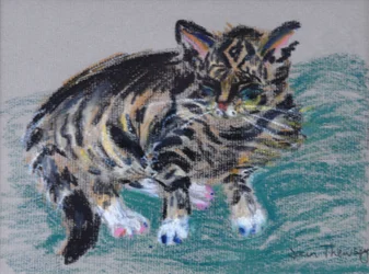 Stripete katt, 2005