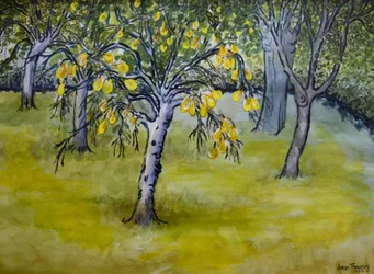 Det lille pæretreet, 2005