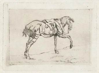 Salet hest
