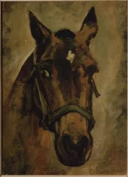 CABEZA DE CABALLO. Artist: JOAQUIN SOROLLA. Sted: PRIVAT SAMLING, MADRID, SPANIA
