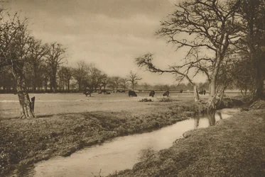Hvor Beverley Brook slynger seg gjennom Royal Hunting Park of Richmond, c1935.