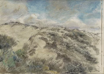 sanddynelandskap