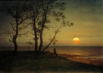 Strand i måneskinnet