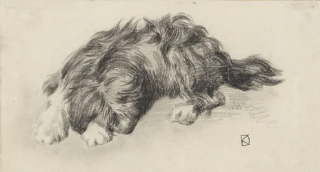 sovende hund