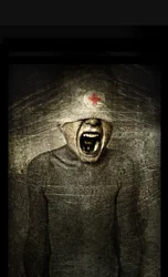 Hurt, 2013 (bildemanipulasjon)