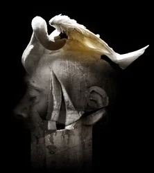 Swan, 2013 (fotografi)