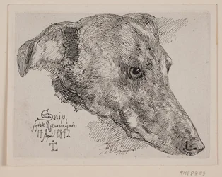 Dansk: Hundehoved, Snip
