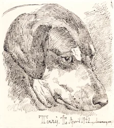 Dansk: Hundehoved, Terry