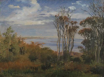 Kolås Wood. Høyt vær
