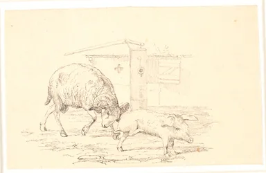Væren og grisen. Illustrasjon til Kaalunds "Fabler for barn". Se kommentar fra arkkatalog.