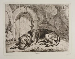 Hunden Legere