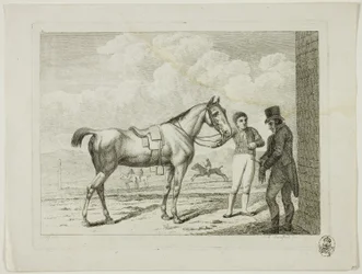 Rideskole og hester