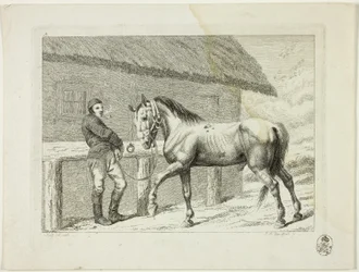 Rideskole og hester