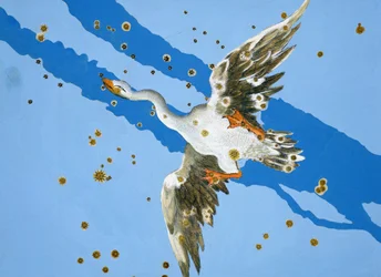 Constellation of Cygnus, fra Uranometria skrevet av Johann Bayer og gravert av Alexander Mair (1559-c.1616) 1603 (håndfarget kobberstikk)