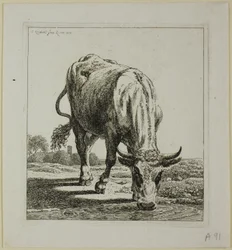 Cow Drinking, fra Die Zweite Thiernahme