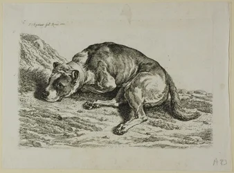 Dog Laying Down, fra fra The Second Succession of the Thief