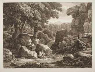 Skoglandskap