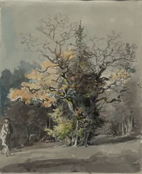 Tregruppe foran skog