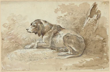 To hundestudier