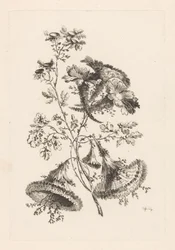 Trekantede blomster Fleures Baroque (serietittel)