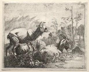 Geiter