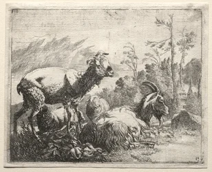 Geiter, 1665.
