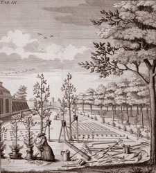 Illustrasjon av en hagescene, 1753