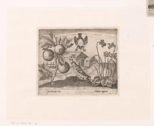 Serie med trykk med blomster og dyr i et landskap Landskap med sitrusplanter, fugler og fioler Landskap med dyr, planter og blomster (serietittel)