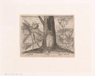Serie med trykk med blomster og dyr i et landskap Landskap med mispel, lilje og ugle Landskap med dyr, planter og blomster (serietittel)